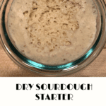 dry active sourdough starter in a glass container