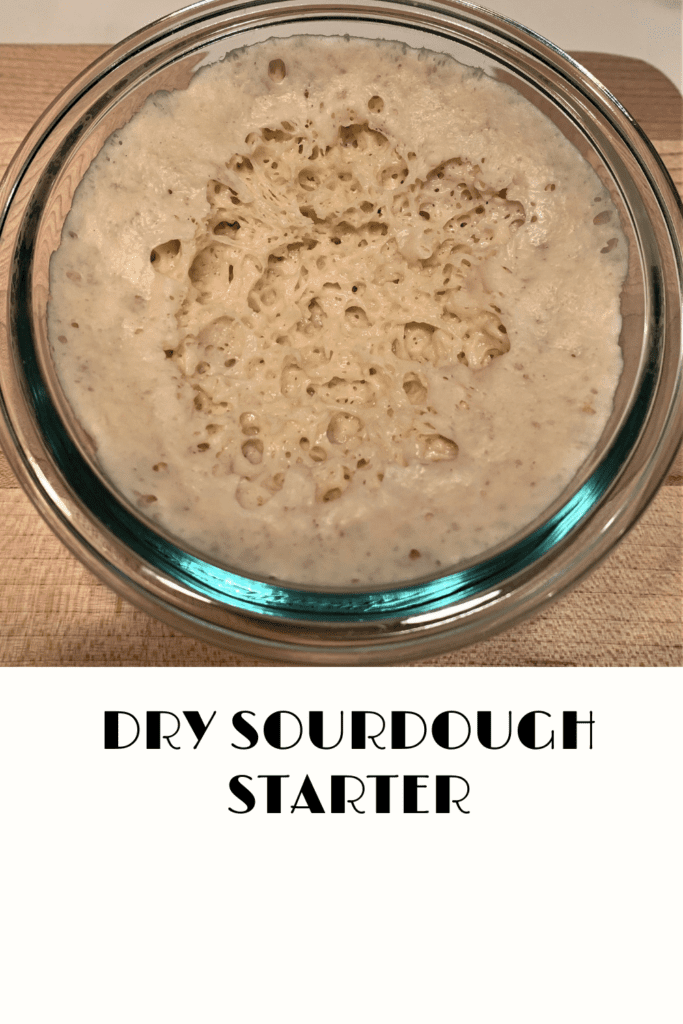 Dry sourdough starter fermented and bubbly in a glass bowl