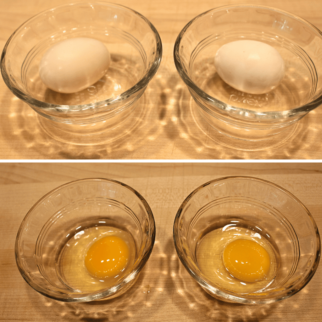waterglassed egg and fresh egg compared in the shell and cracked open in glass bowls