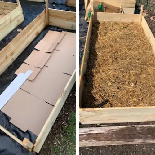 garden bed lined with cardboard, garden bed filled half way with staw