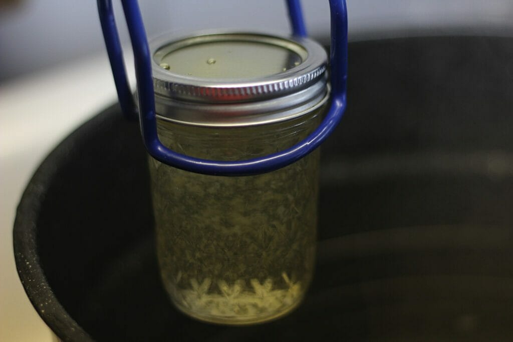 dandelion jelly being lifted out of a waterbath canner after processed