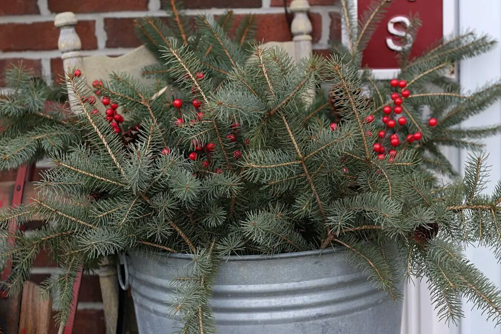 metal wash tub filled with pine branches, pinecones, and faux red berry picks creating a simple natural winter decor