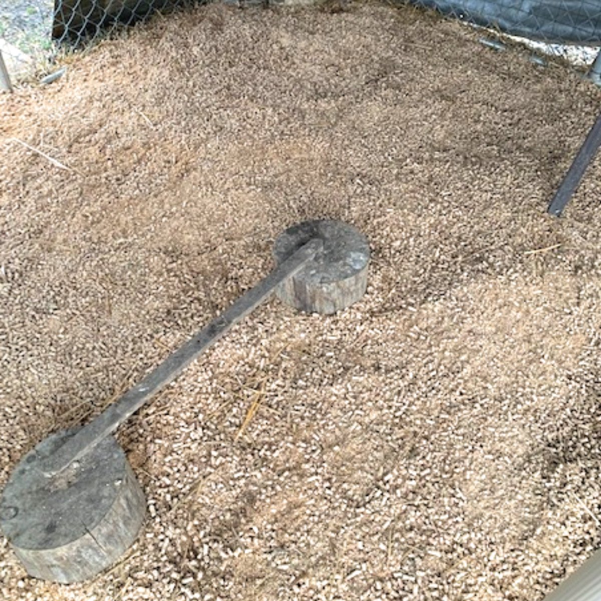 How to fix a muddy chicken run Dani's Midlife Homestead