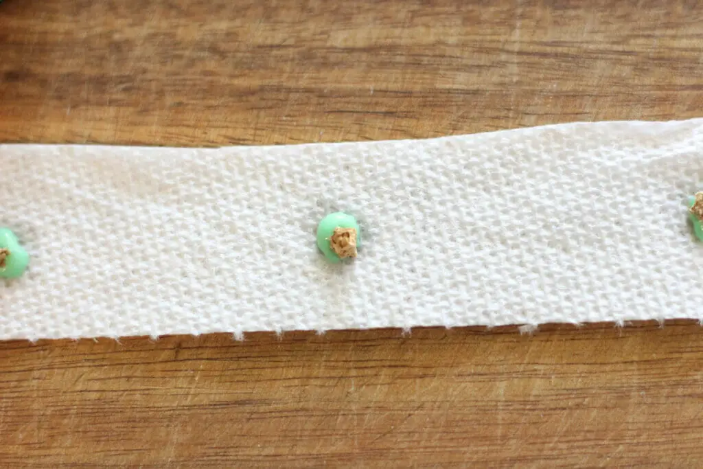 paper towel strip with flour/water drop and seed