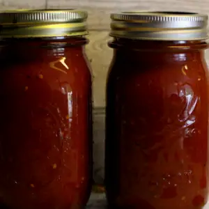 homemade overnight roasted tomato sauce