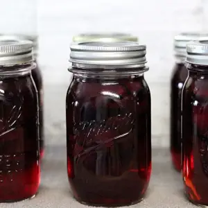 canned jars of pickled beets