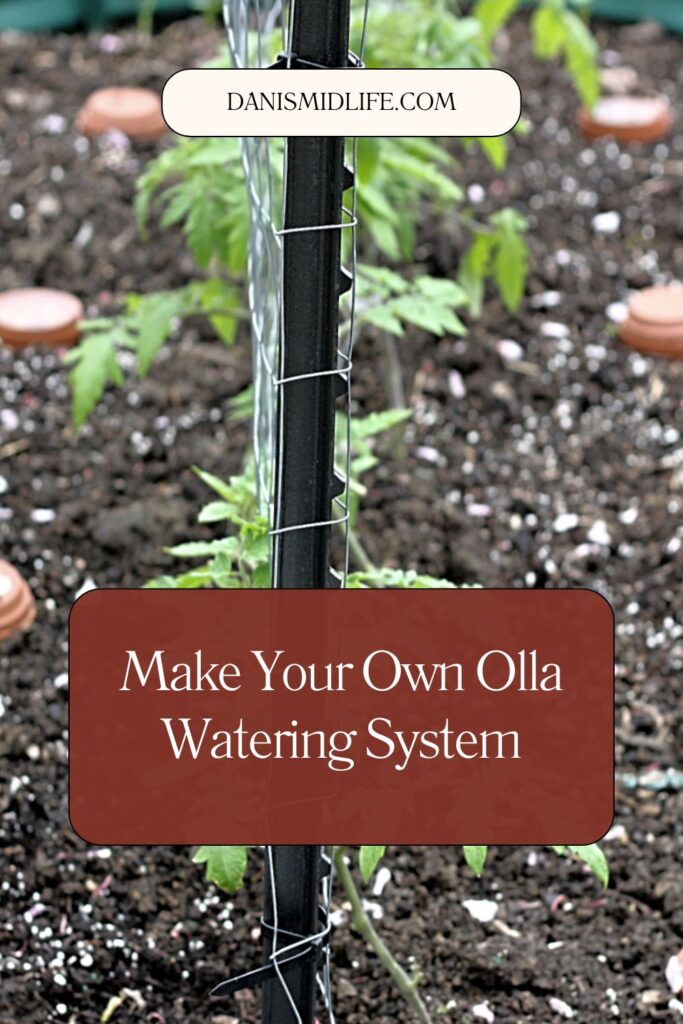 pinterest pin of DIY terracotta pot irrigation