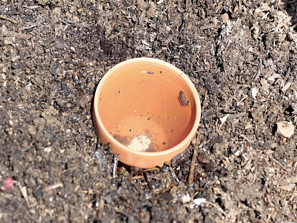 olla filled with water