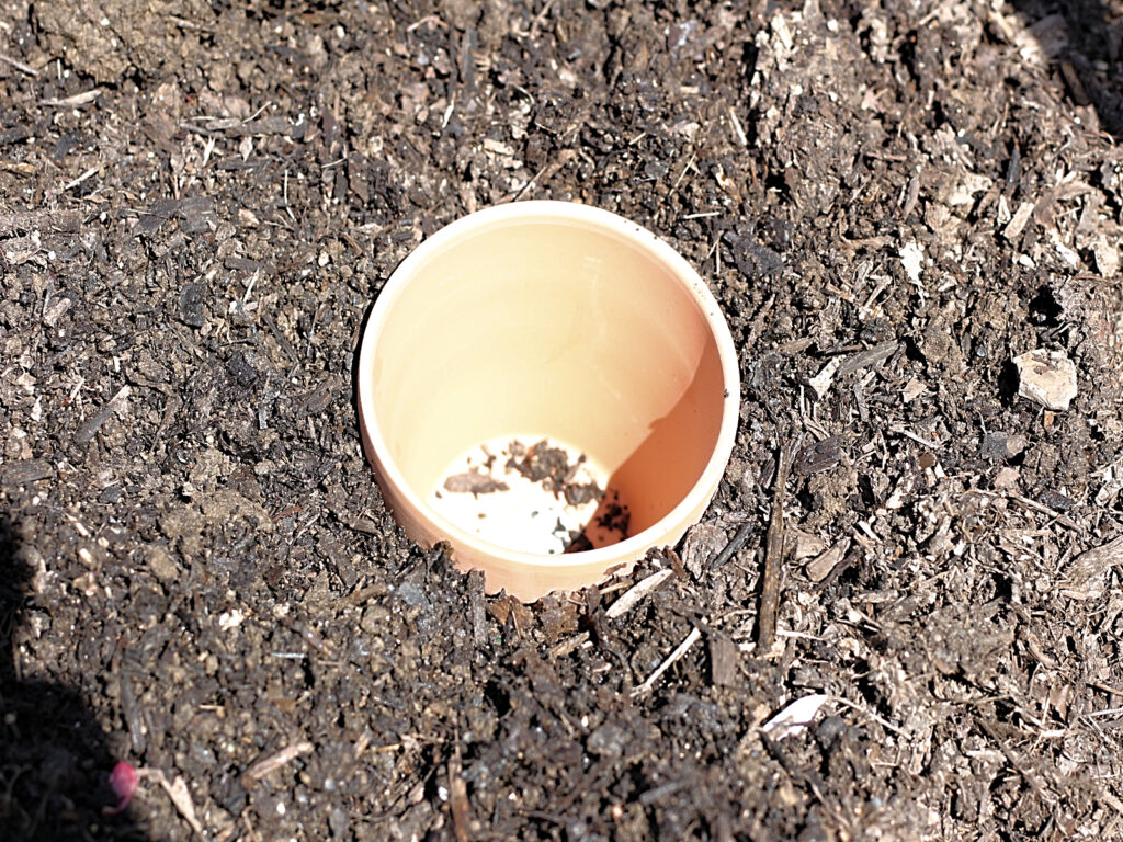 terracotta pot buried into the soil