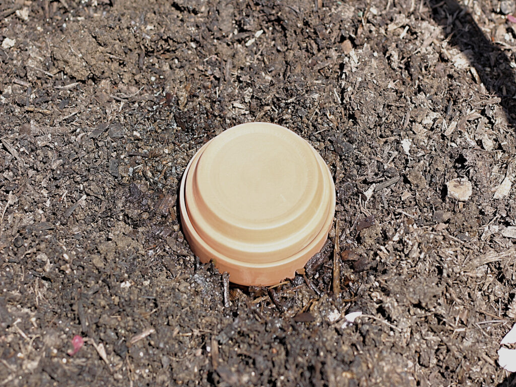 saucer used as a lid