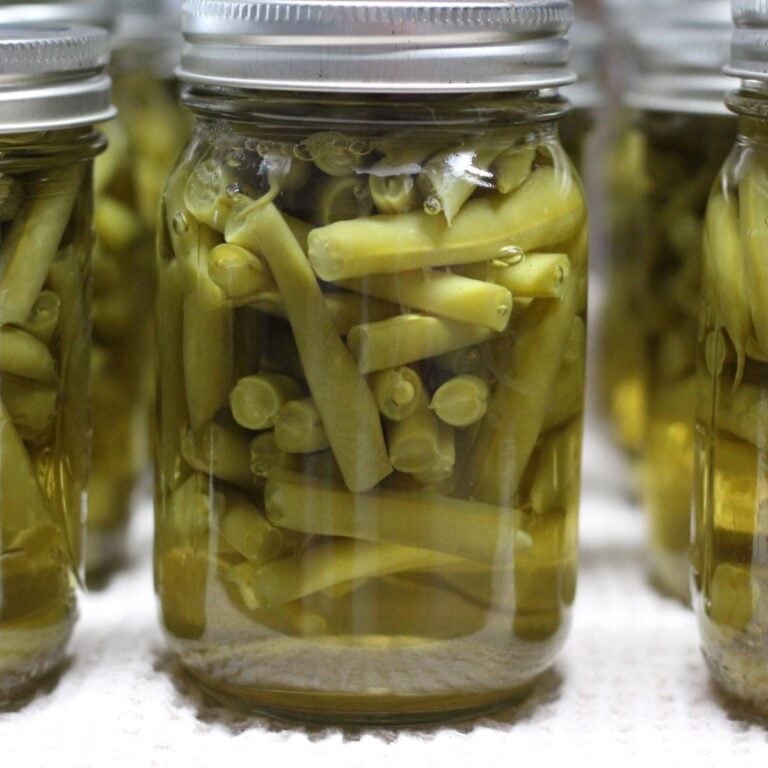 how to can green beans