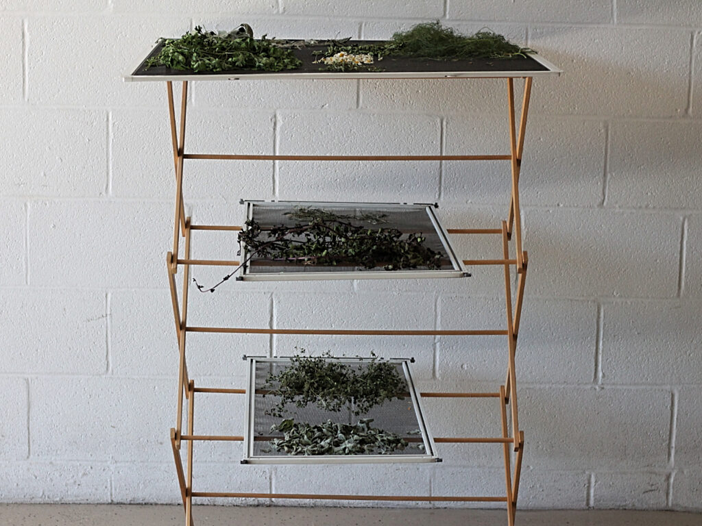 wooden clothes drying rack with window screens holding dried herbs