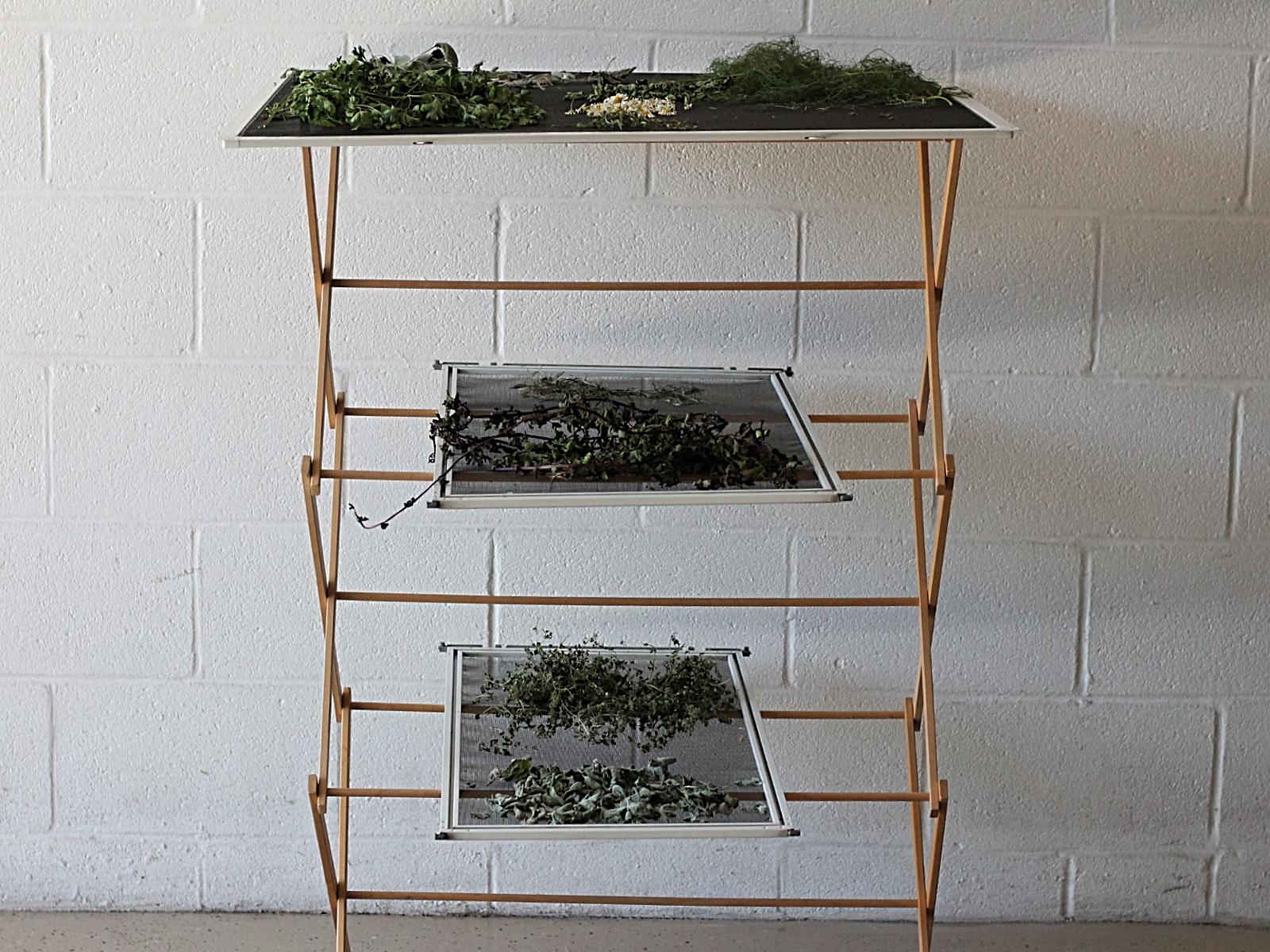 Vegetable Drying Rack Ideas It Ain't Fancy - DIY Herb Drying Rack - Dani's Midlife Homestead