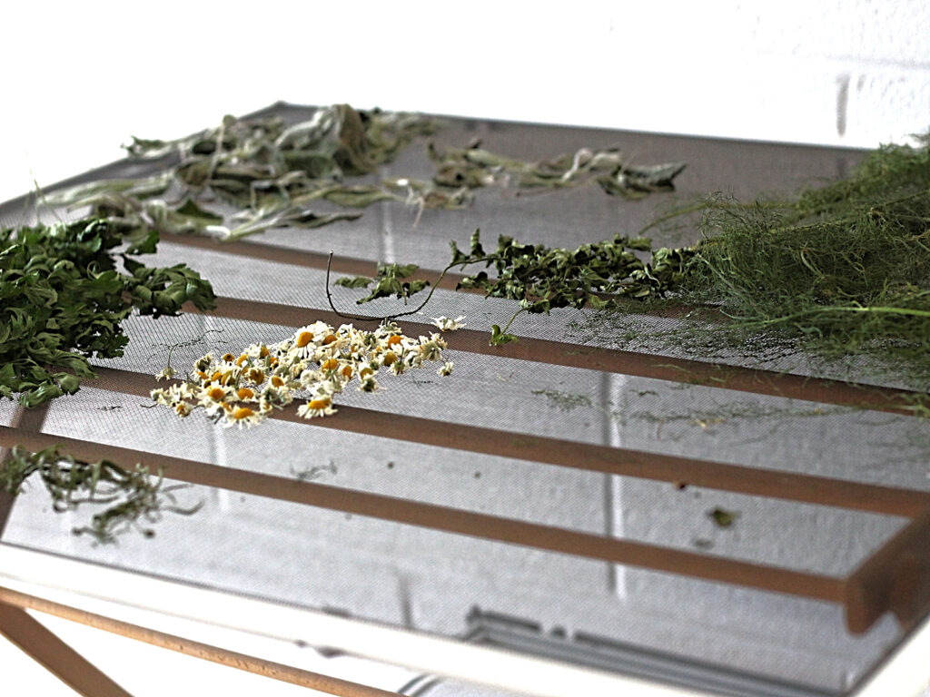 herbs drying on rack