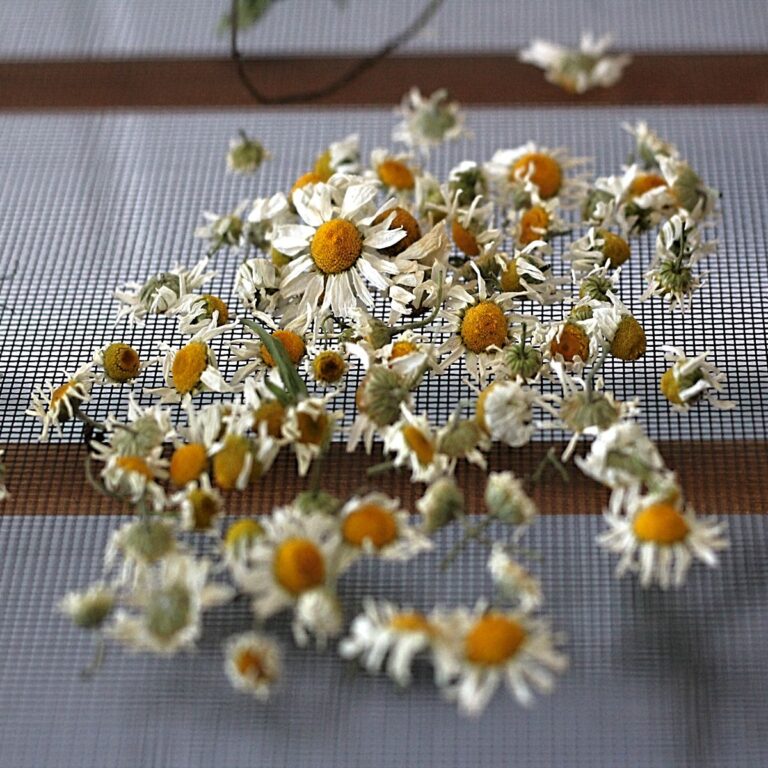 DIY herb drying rack