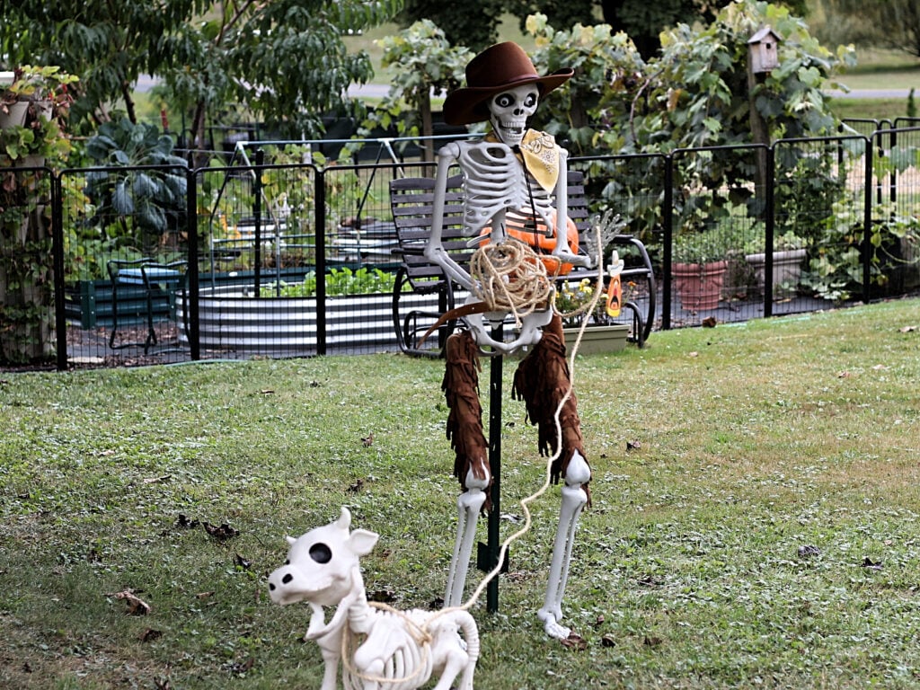 cowboy skeleton roping a cow