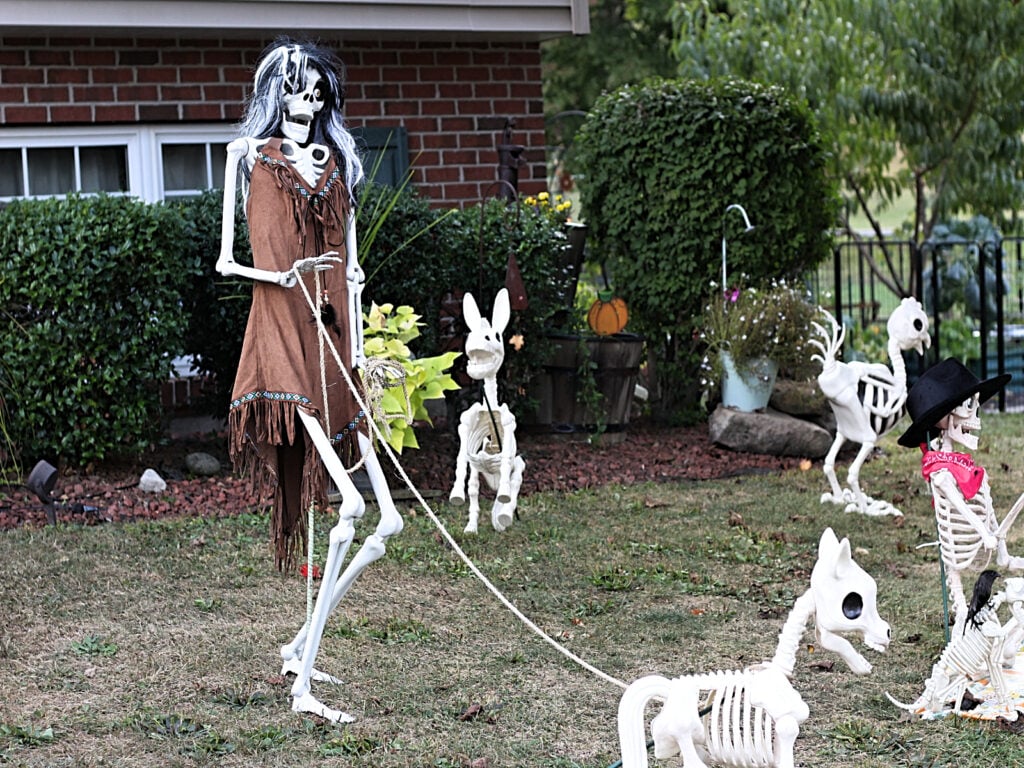 cowgirl skeleton roping a pony