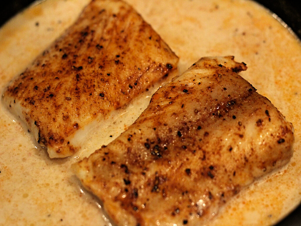 halibut nestled into sauce