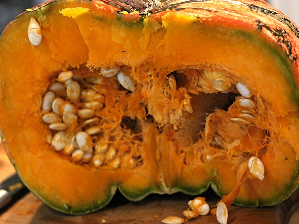 decorative pumpkin cut in half