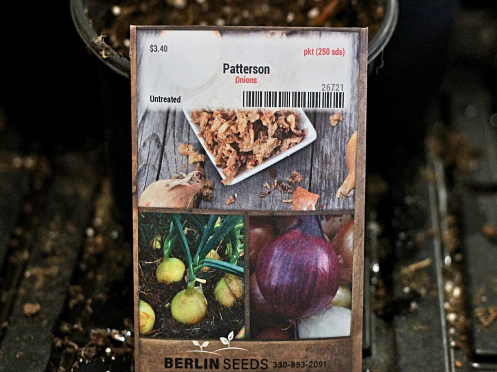 packet of onion seeds